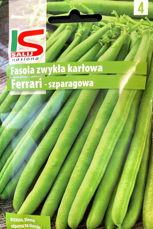 Fasola zielona Ferrari 30g nasiona fasoli zielonej
