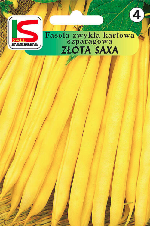 Fasola szparagowa karłowa Złota Saxa 30g nasiona fasoli salnas