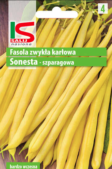 Fasola sonesta 30g nasiona fasoli