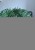 IMG_5038.jpeg
