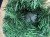 IMG_5041.jpeg