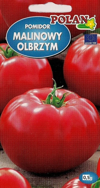 Pomidor MALINOWY OLBRZYM wysoki 0,5g nasiona