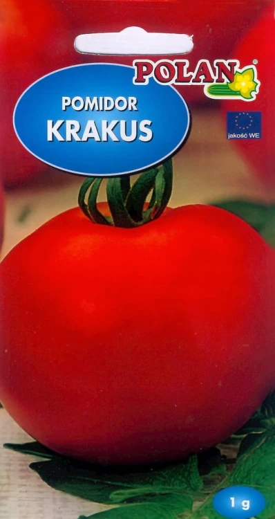 Pomidor KRAKUS 1g nasiona owoców warzyw warzywa