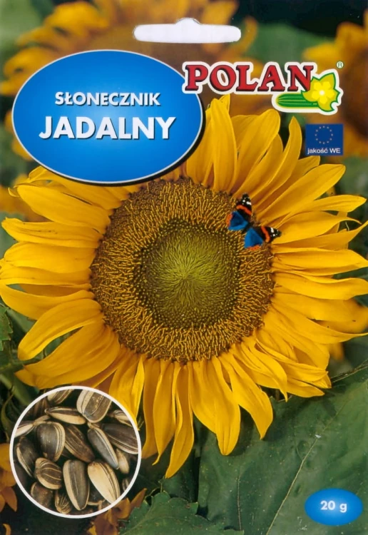 Słonecznik JADALNY 20g nasiona warzywa polan