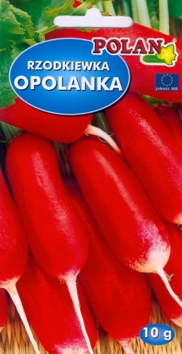 Rzodkiewka OPOLANKA 10g POLAN nasiona warzywa!