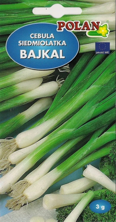 Cebula siedmiolatka BAJKAL 3g nasiona warzyw polan