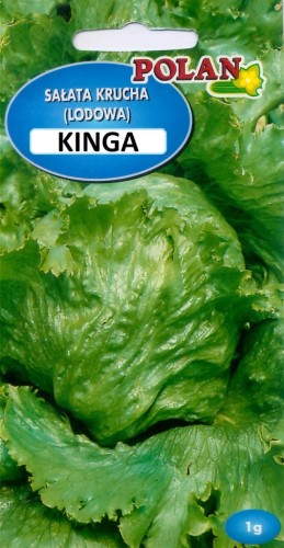 Sałata krucha lodowa KINGA 1g