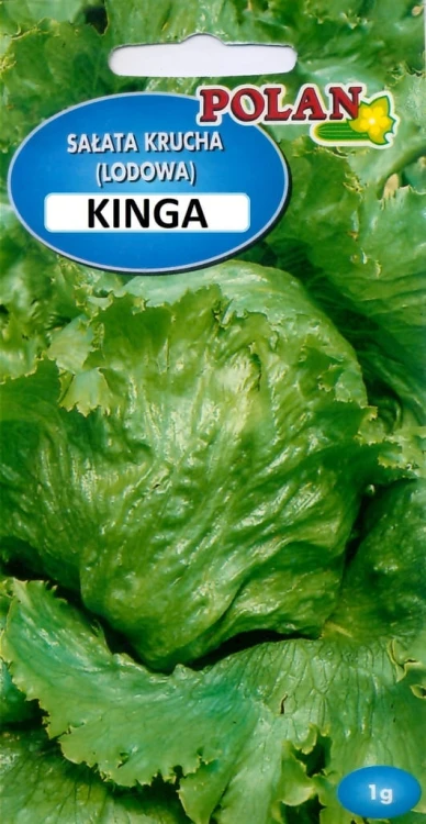 Sałata krucha lodowa KINGA 1g