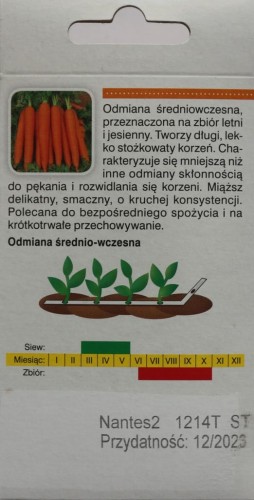 Marchew Nantes NASIONA NA TAŚMIE 6 metrów