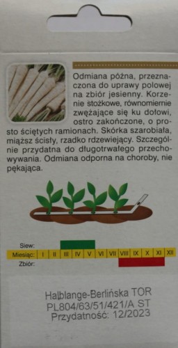 Pietruszka berlińska HALBLANGE NASIONA NA TAŚMIE!