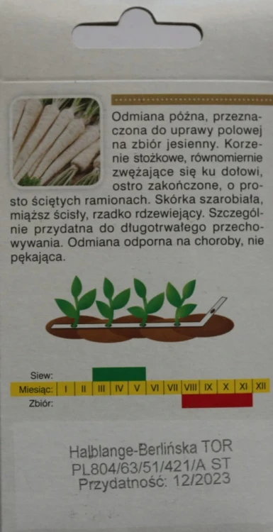 Pietruszka berlińska HALBLANGE NASIONA NA TAŚMIE!