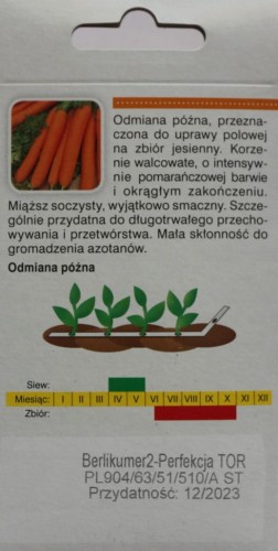 Marchew BERLIKUMER2 NASIONA NA TAŚMIE 6M 600nasion