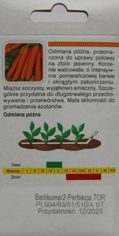 Marchew BERLIKUMER2 NASIONA NA TAŚMIE 6M 600nasion