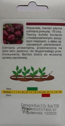 Burak ćwikłowy CZERWONA KULA NASIONA NA TAŚMIE 6M!