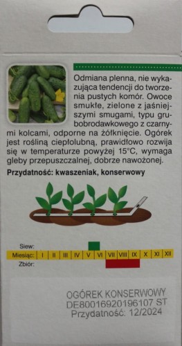 Ogórek POLAN f1 miesz NASIONA NA TAŚMIE 6 metrów
