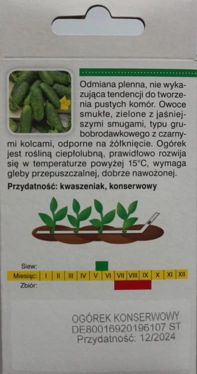 Ogórek POLAN f1 miesz NASIONA NA TAŚMIE 6 metrów