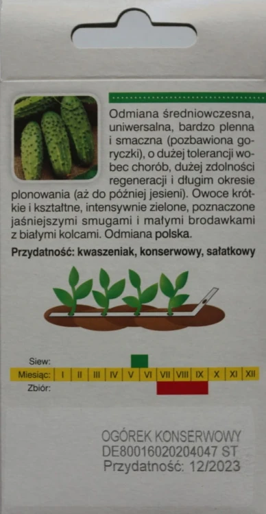 Ogórek SOPLICA f1 miesz NASIONA NA TAŚMIE 6 metrów