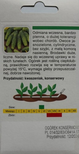 Ogórek ŚREMSKI f1 miesz NASIONA NA TAŚMIE 6 metrów
