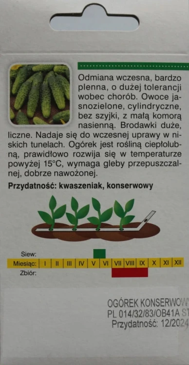 Ogórek ŚREMSKI f1 miesz NASIONA NA TAŚMIE 6 metrów