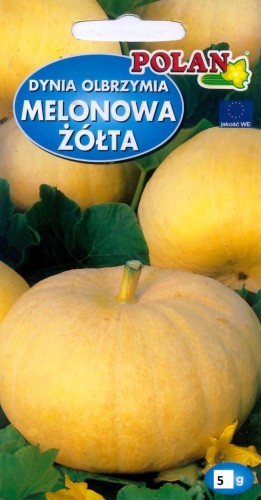 Dynia OLBRZYMIA MELONOWA ŻÓŁTA 5g nasiona warzyw