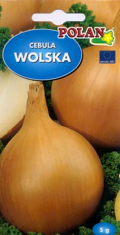 Cebula wolska 5g nasiona warzyw warzywa super cena