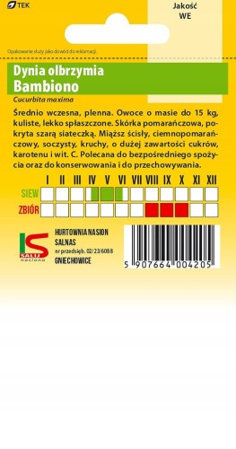Dynia Olbrzymia BAMBINO 5g salnas nasiona warzywa