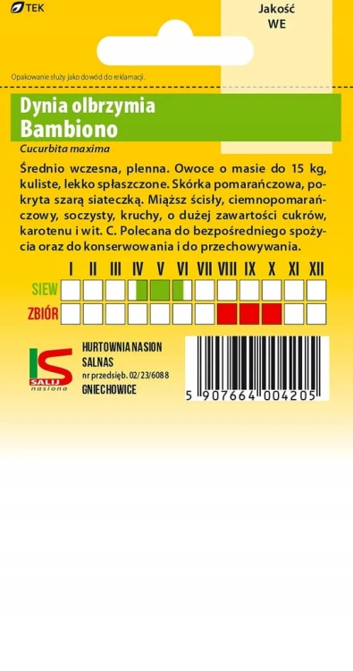 Dynia Olbrzymia BAMBINO 5g salnas nasiona warzywa