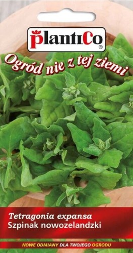 Szpinak NOWOZELANDZKI 5g! Nasiona warzywa plantico