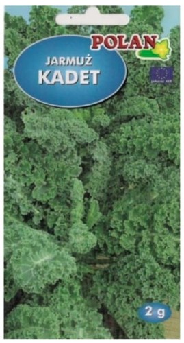 jarmuż Kadet 2g nasiona jarmużu warzyw