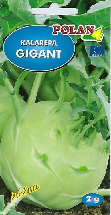 Kalarepa GIGANT 2g nasiona warzyw polan