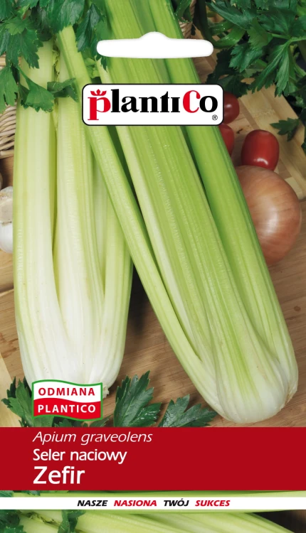 Seler naciowy Zefir 0,5g nasiona selera
