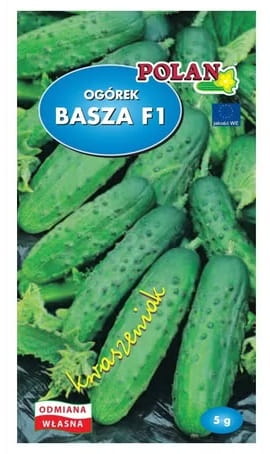 Ogórek Basza F1 5g nasiona ogórków