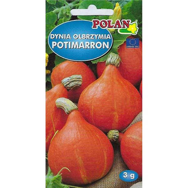 Dynia olbrzymia Potimaron 3g nasiona
