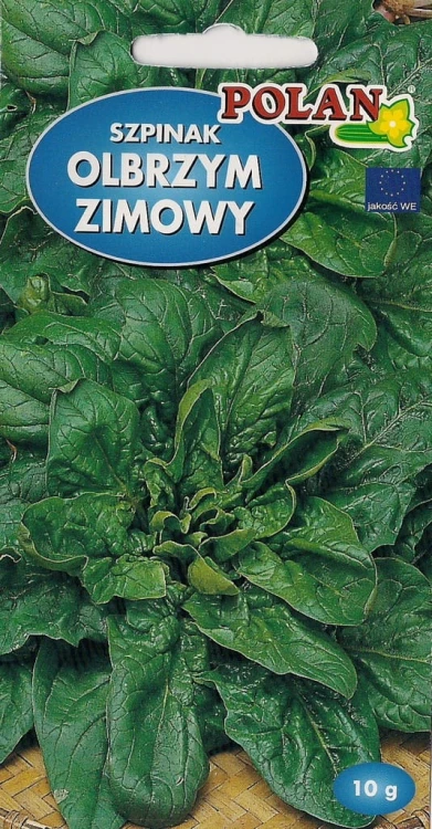 Szpinak OLBRZYM ZIMOWY 10g nasiona warzyw polan