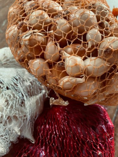 Cebula dymka biała 250g SNOWBALL 10-21mm