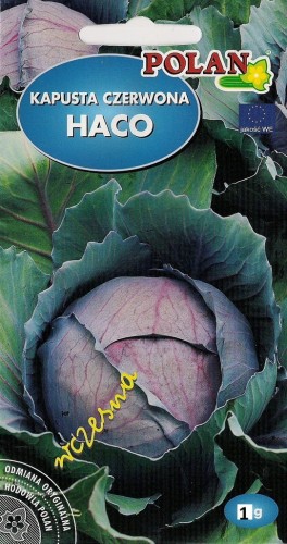Kapusta czerwona HACO 1g nasiona warzyw warzywa
