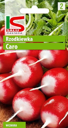 Rzodkiewka CARO 10g SALNAS nasiona warzyw warzywa
