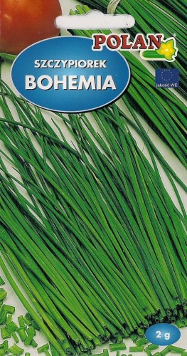 Szczypiorek BOHEMIA 2g nasiona warzywa! polan