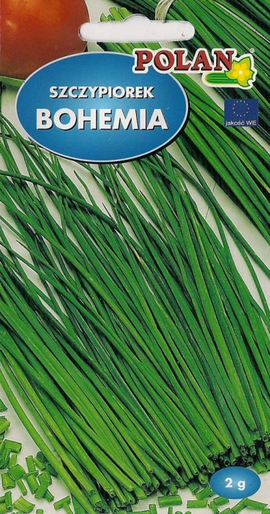 Szczypiorek BOHEMIA 2g nasiona warzywa! polan