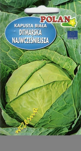 Kapusta biała DITMARSKA NAJWCZEŚNIEJSZA 2g Nasiona