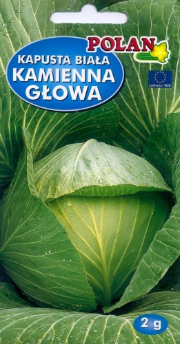 Kapusta biała KAMIENNA GŁOWA 2g nasiona warzyw