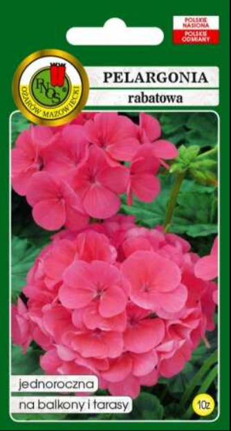 Pelargonia różowa nasiona 10 ziaren