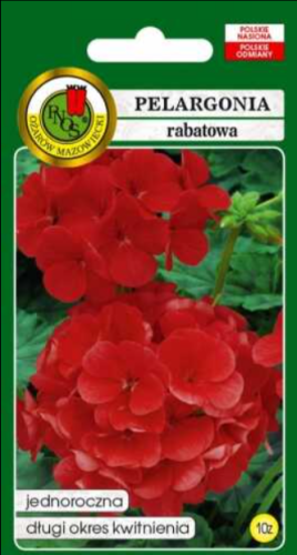 Pelargonia czerwona nasiona 10 ziaren