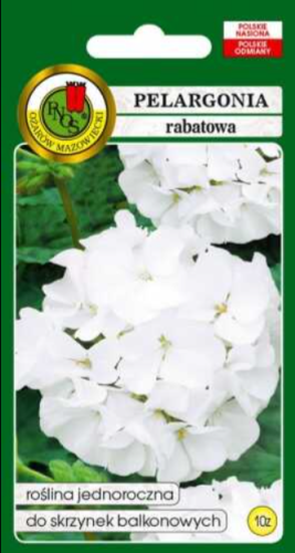 Pelargonia biala nasiona 10 ziaren