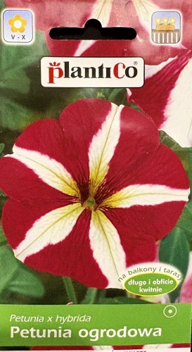 Petunia dwukolorowa 0,05g nasiona kwiatów