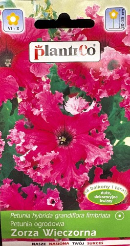 Petunia Nana Zorza Wieczorna 0,05g nasiona kwiatów