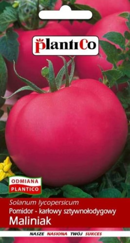 Pomidor karłowy MALINIAK 0,5g nasiona! plantico