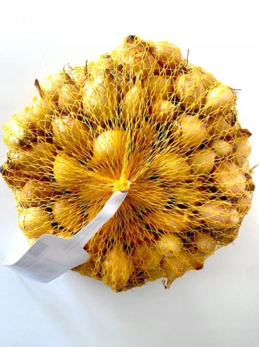 Cebula dymka 0,5kg STURON 8-21mm