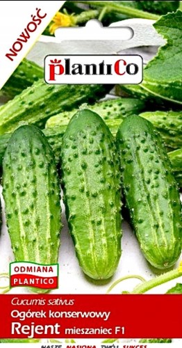 Ogórek konserwowy REJENT mieszaniec F1 5g PLANTICO
