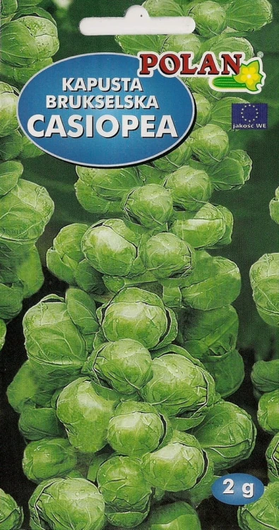 Kapusta brukselska CASIOPEA 2g nasiona warzyw